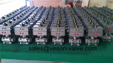 Double Acting Marine Control Mode  Pinion Actuator Made Of 316SS 304SS Material