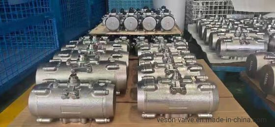 Stainless Steel Corrosion-Resistant Pneumatic Actuator with Hard Anodized Aluminum Rack Pinion Design