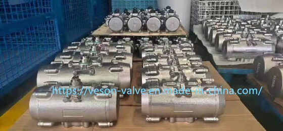 Stainless Steel Pneumatic Actuator with Double-acting Cylinder and Hard Anodized Aluminum Construction